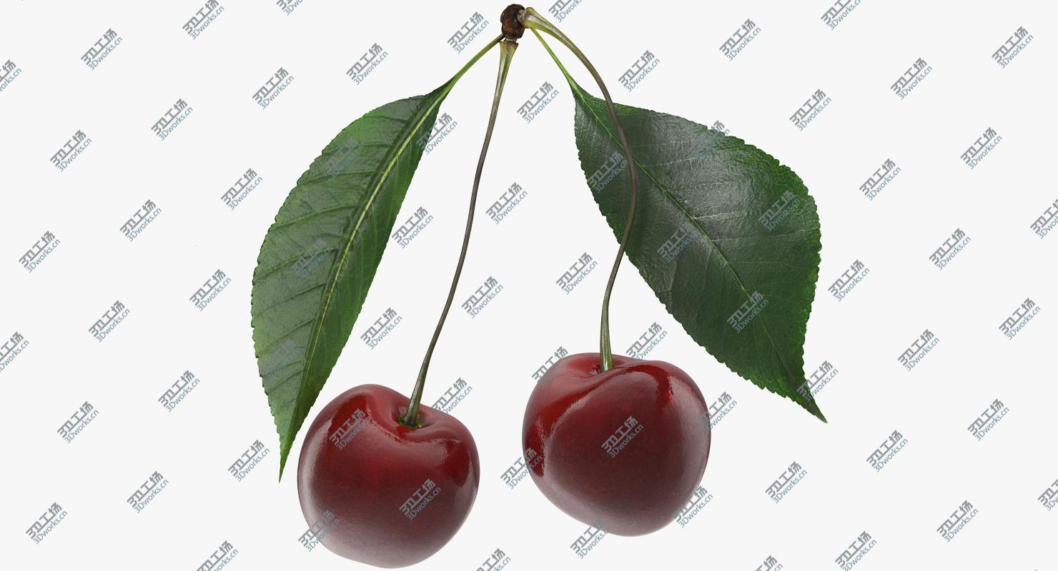 images/goods_img/20210319/3D Cherry Collection model/2.jpg